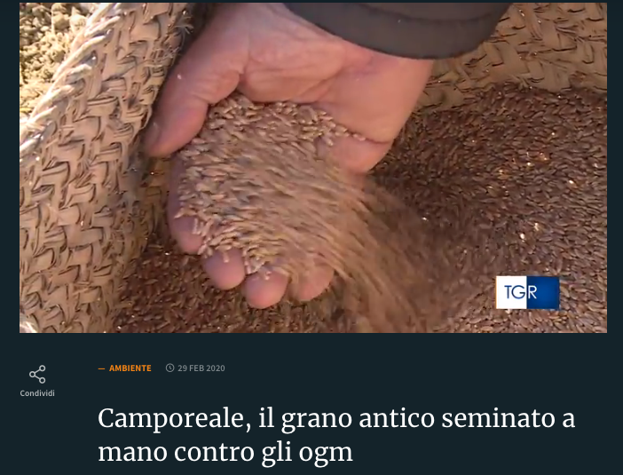 Camporeale.png